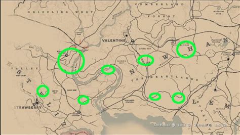 treasure maps rdr2